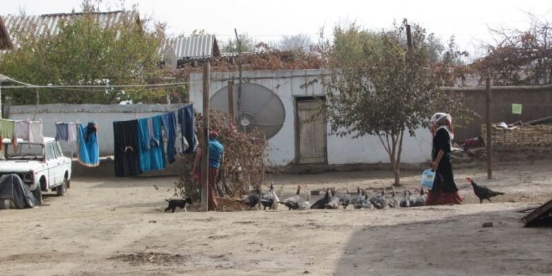 ad379114ea786f20915e40a386f547c1