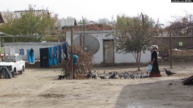 ad379114ea786f20915e40a386f547c1