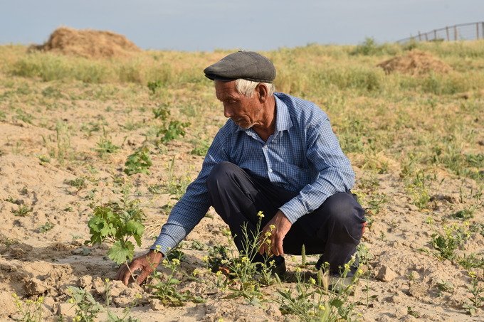 bdd7e084ce044dee0cbb2a4f05e6c87b