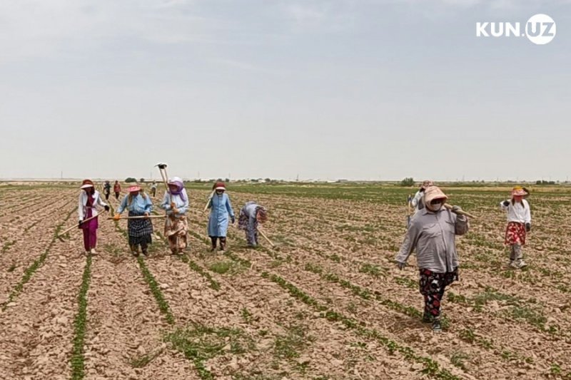 bf4d5d267736630fb63263f2a2f33b39