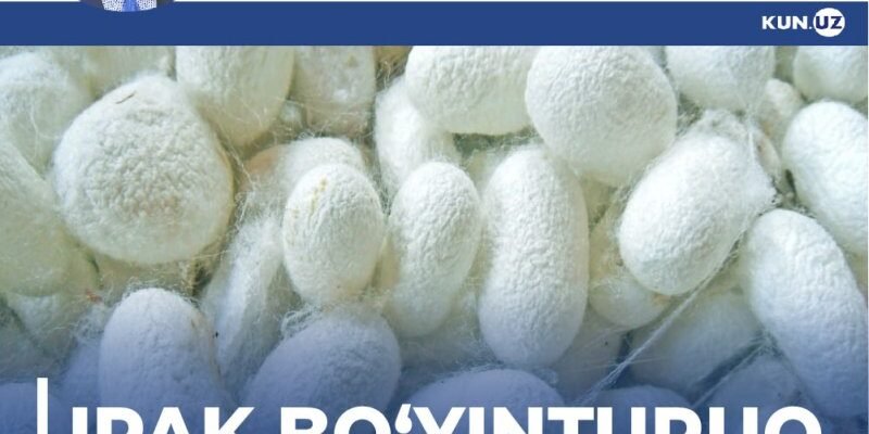 btkwx9be0v40lk7rr5kielunxargmxca