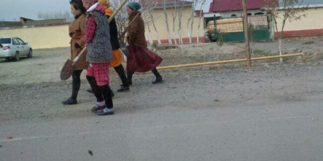 c188163d157bacd8bd6e08d549116fa8