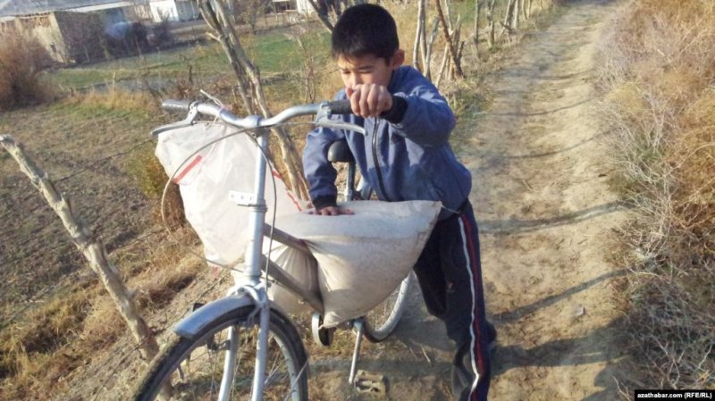 c4ac46090ee990aa26bea4bbcb6181c6