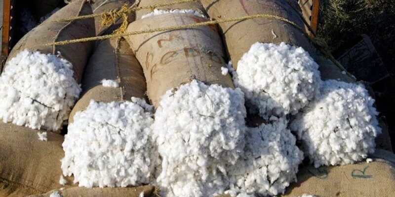 c9cf02c16b37ed207a414a102b68f1a7