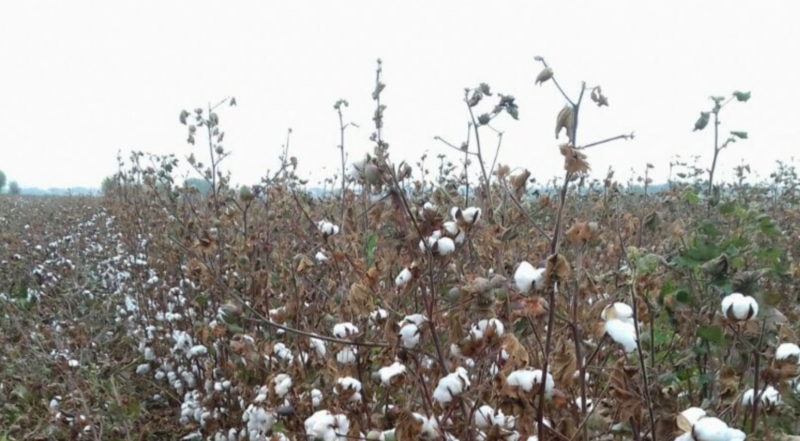 cf926b4e08eeedcf734b6ec7c2c165e8