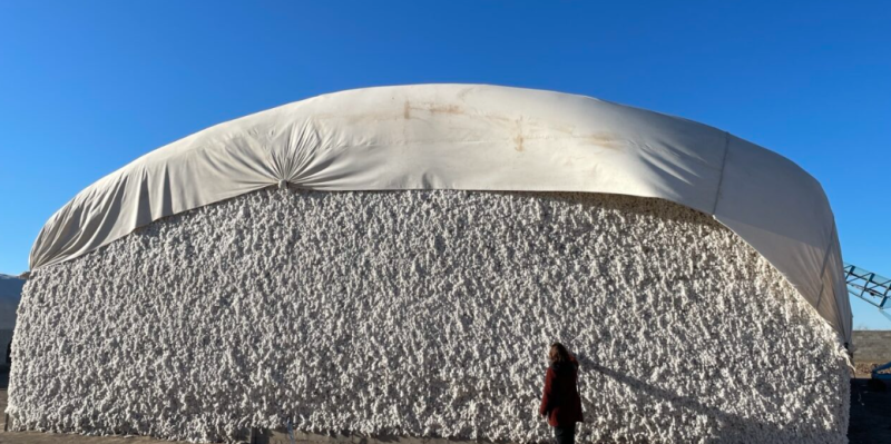 dobm4e4zihf8xgp0k6vdtzhukz2nphdr