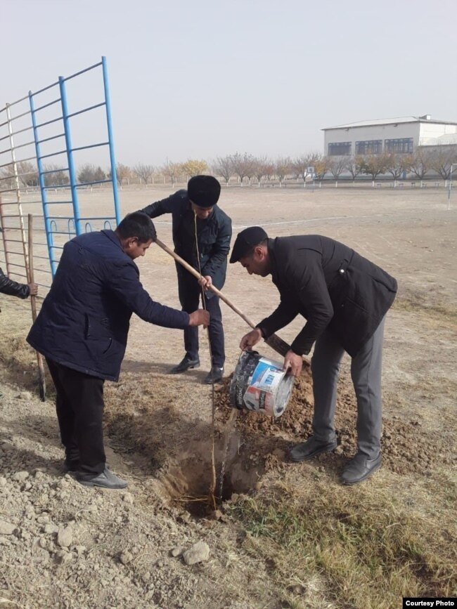 Учителя одной из школ Миришкорского района сажают дерево.