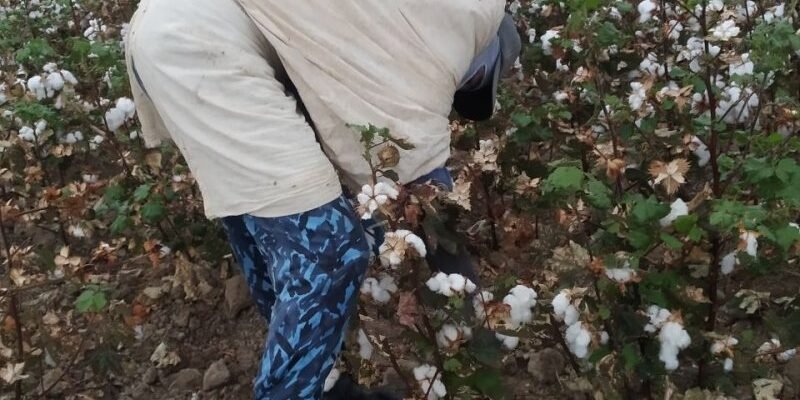 e1cdb5cef14d21acbf0a076158eb6368