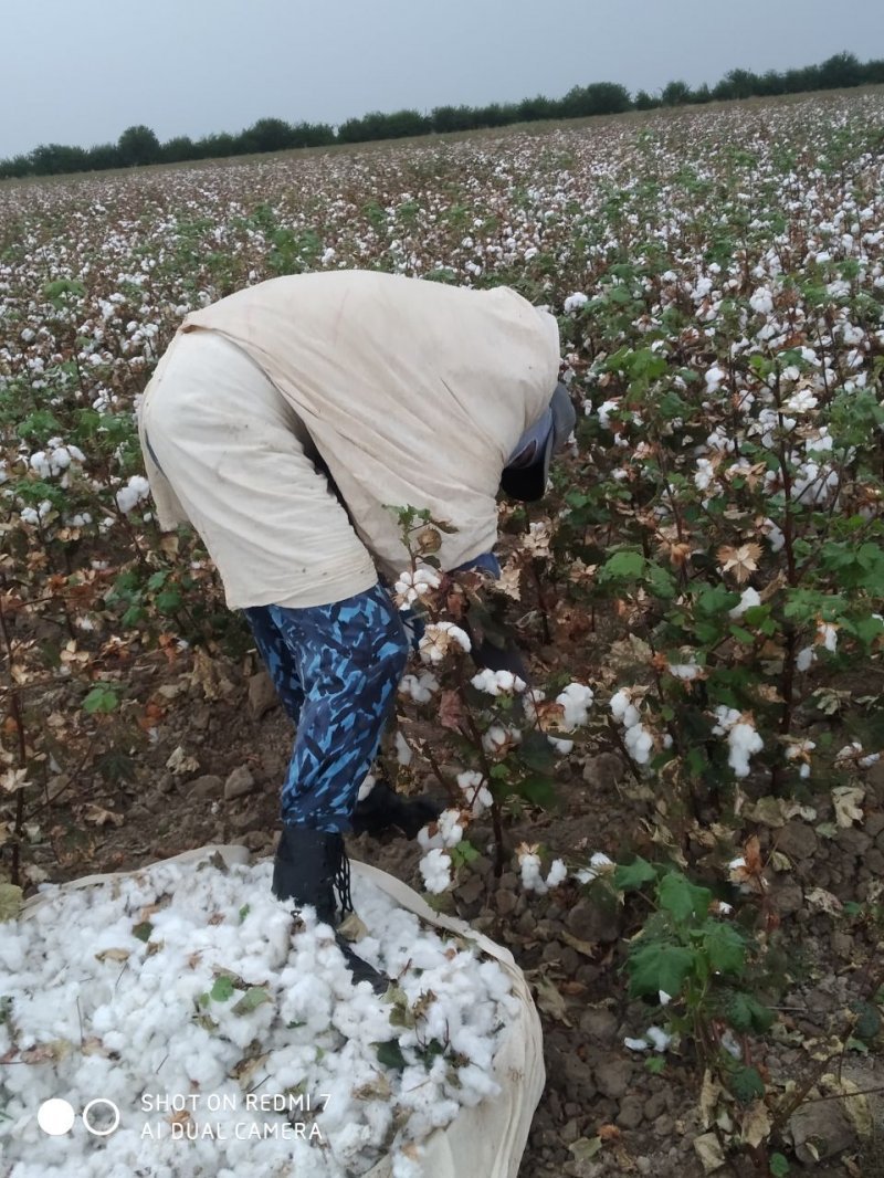 e1cdb5cef14d21acbf0a076158eb6368