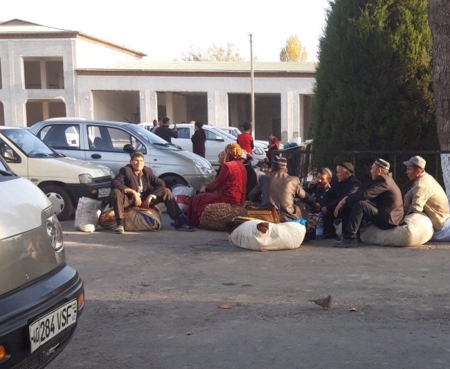 Работники школ и детских садов из Бувайдинского, Учкуприкского и Багдадского районов Ферганской области были отправлены собирать хлопок с ночевкой на 5 дней. 26 октября 2018 г