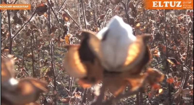 z7u67u7gt762d9vc0t9uig95ry556p5p