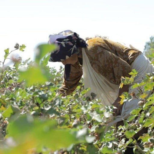 Sept7-Khorezm-1280×640-1-1024×512