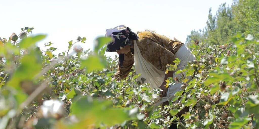 Sept7-Khorezm-1280×640-1-1024×512