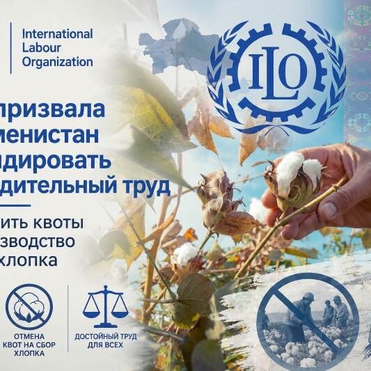 МОТ хлопок