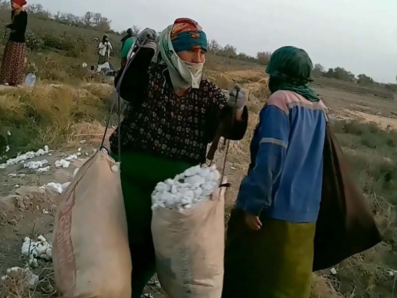 turkmenistan-cotton-forced-labor-2026